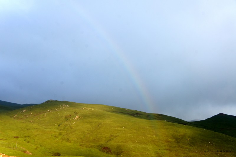 conew_dsc05702n.jpg