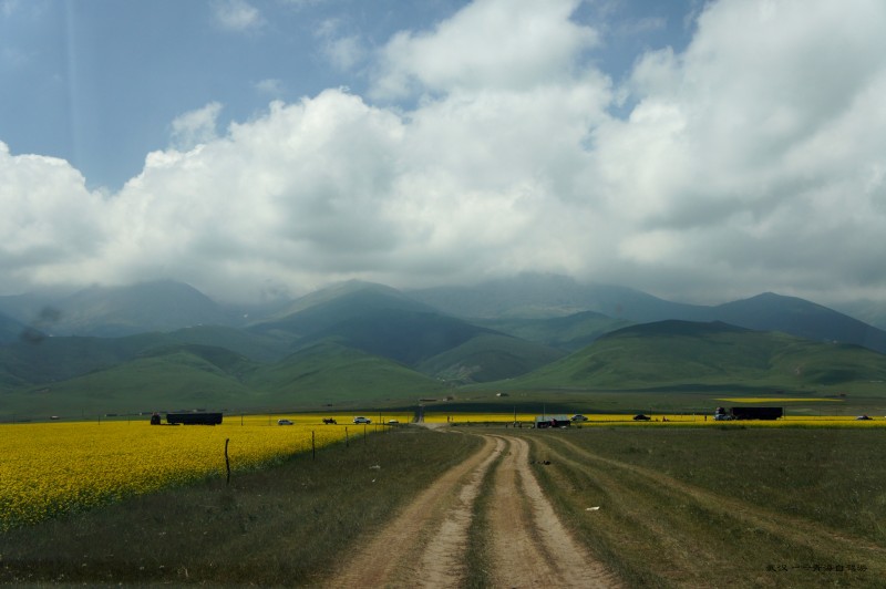 conew_dsc05783n.jpg