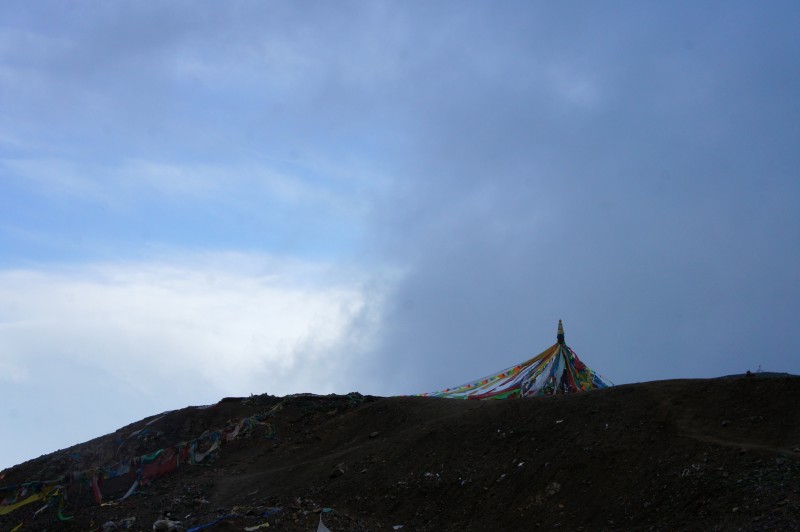 conew_dsc05704n.jpg