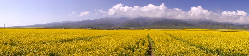 conew_dsc05721n.jpg
