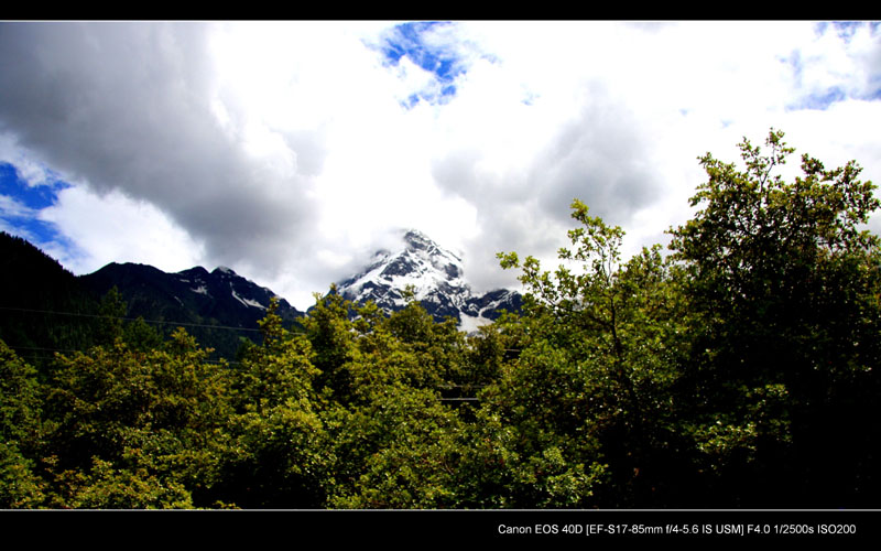 img_4413.jpg