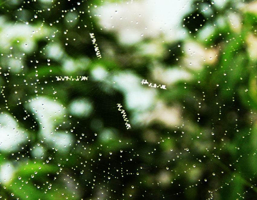  Ƭ 030 .jpg