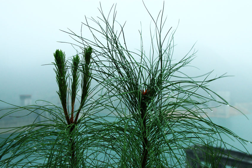  Ƭ 064.jpg
