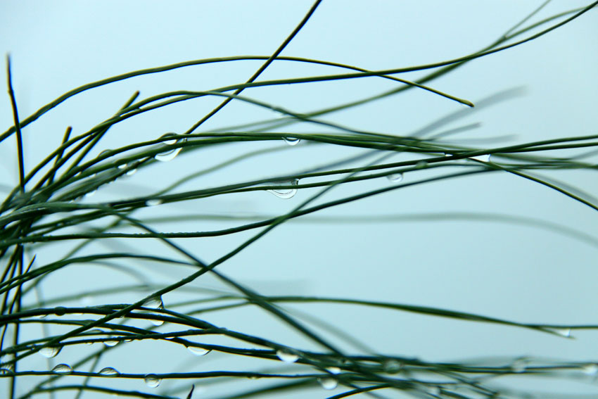  Ƭ 063.jpg