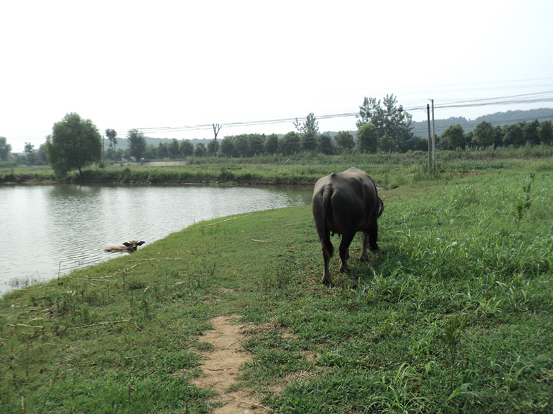 dsc05039_.jpg