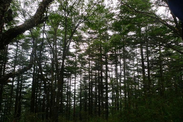 p1080208.jpg