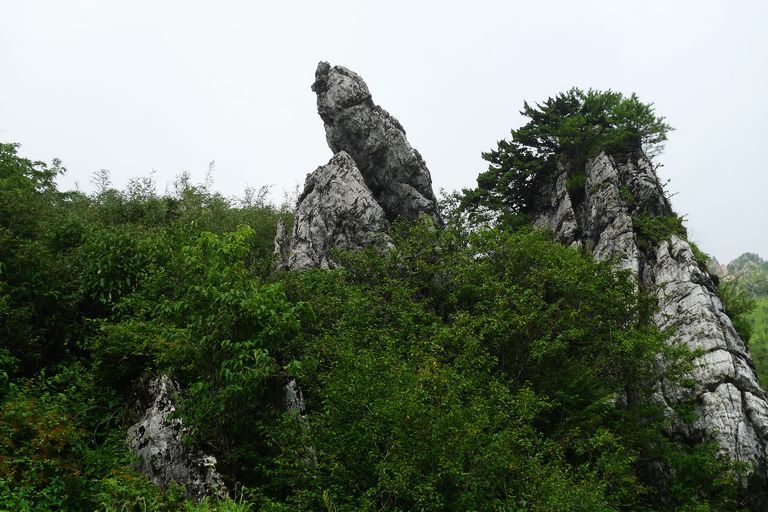 p1080182.jpg