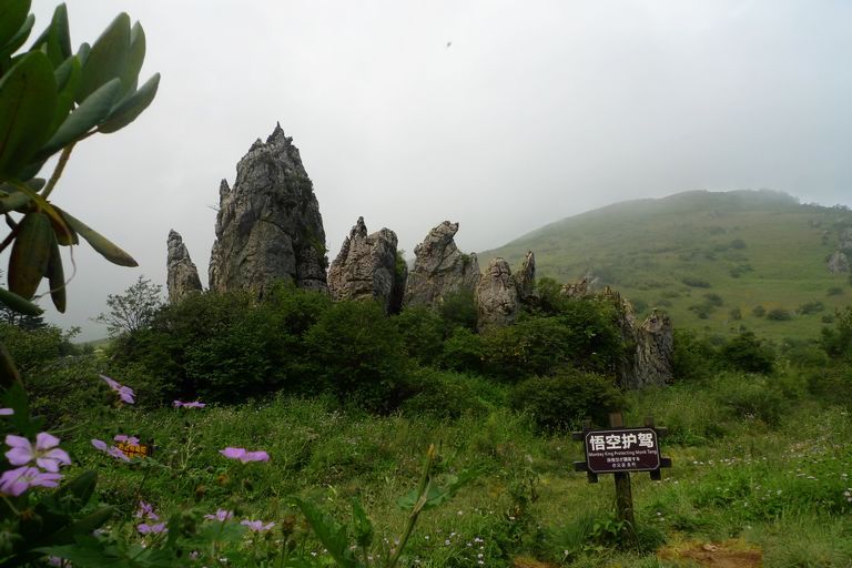 p1080196.jpg