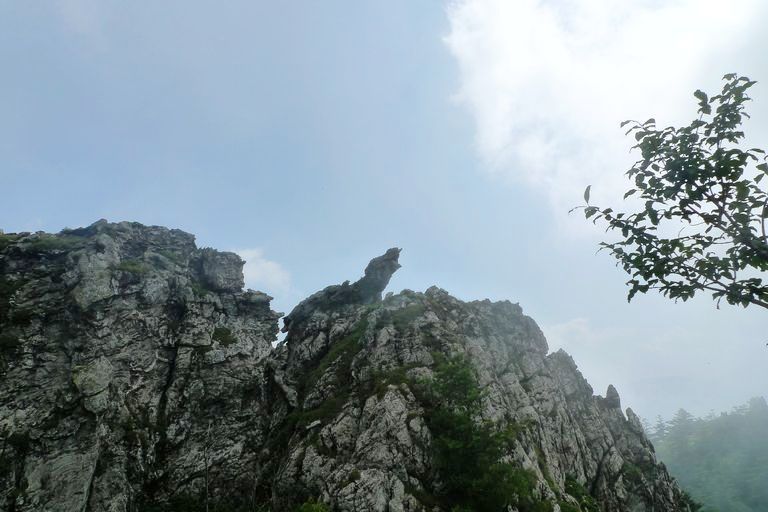 p1080139.jpg