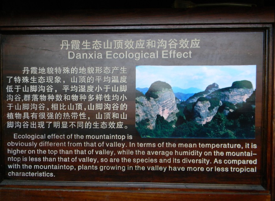 50.jpg