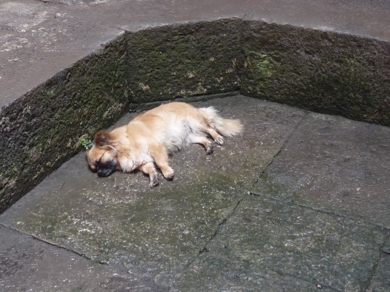 Ҷ.jpg