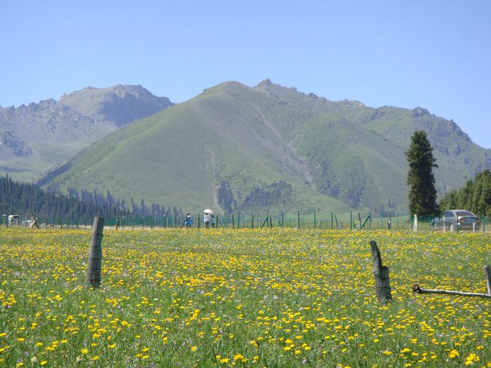 dsc06175.jpg