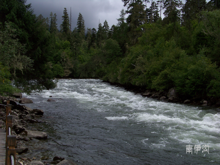 20110615e (21)³ز.jpg
