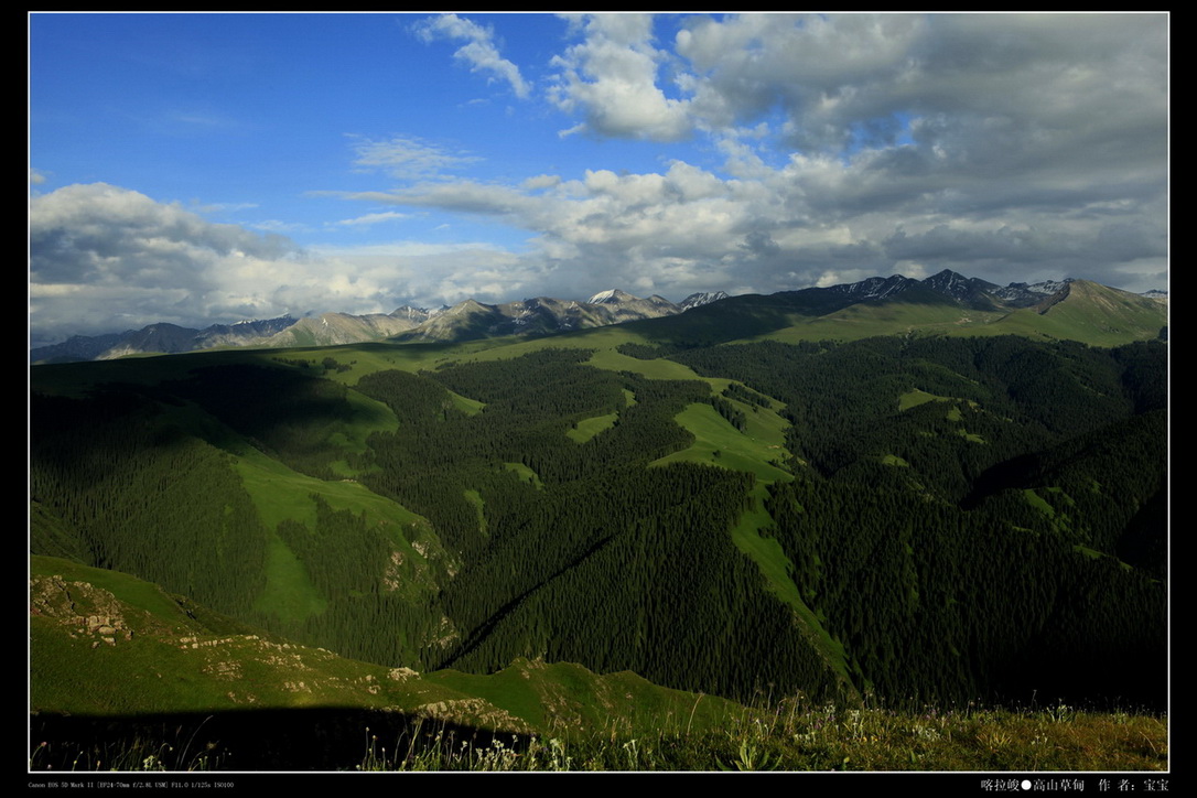 _mg_1429.jpg
