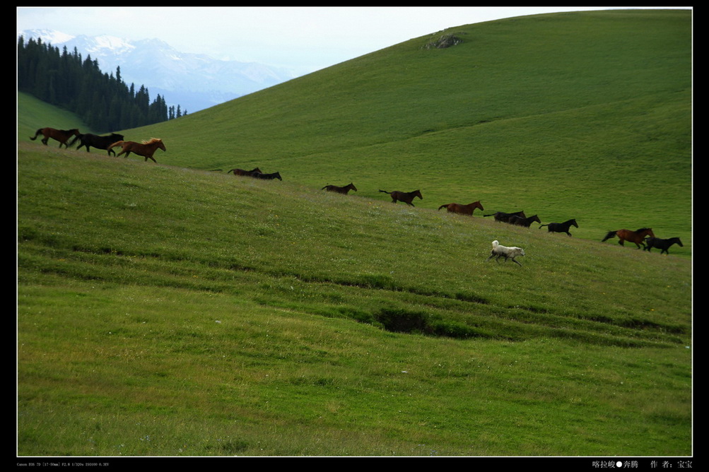 img_4772.jpg