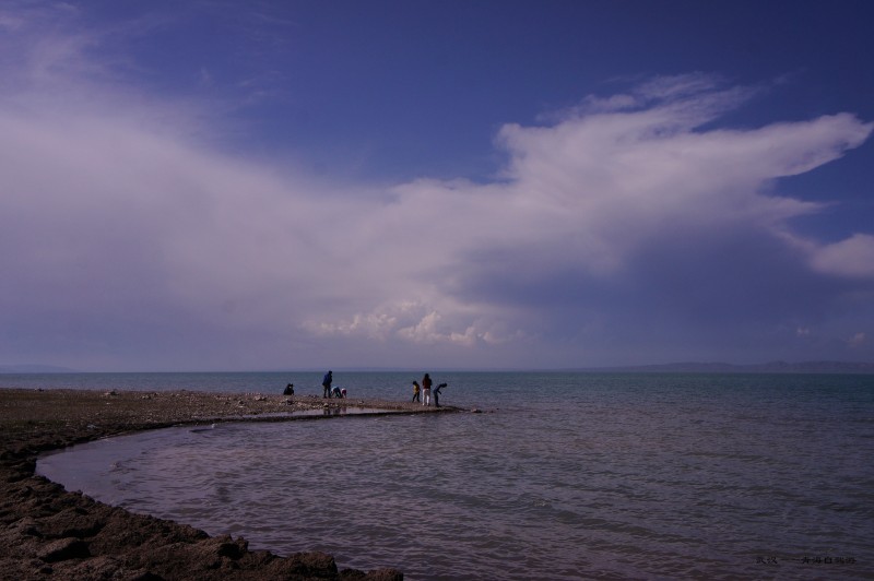 conew_dsc05826n.jpg