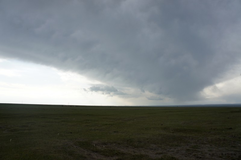 conew_dsc05898n.jpg