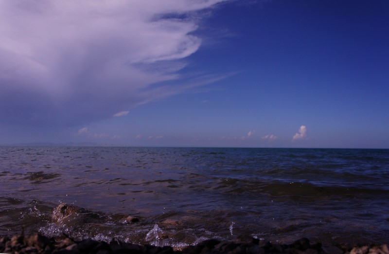 conew_dsc05877n.jpg
