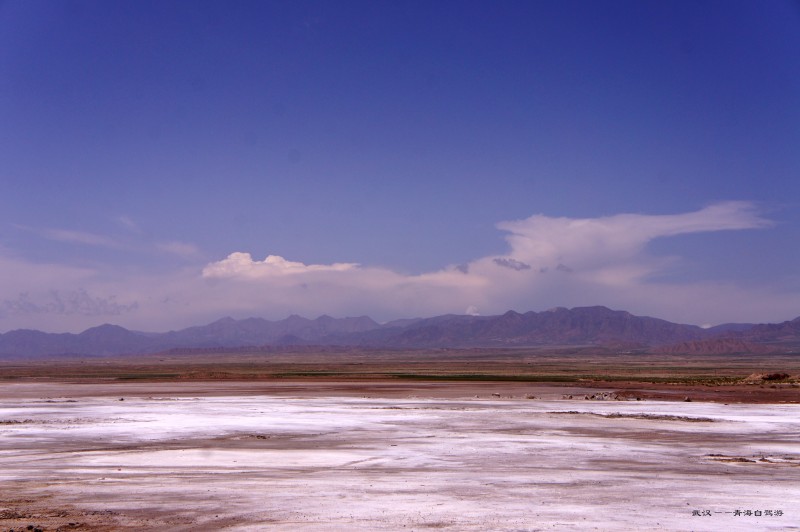 conew_dsc05818n.jpg
