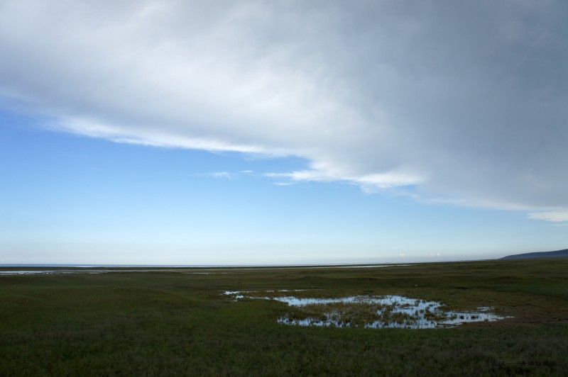 conew_dsc05907n.jpg