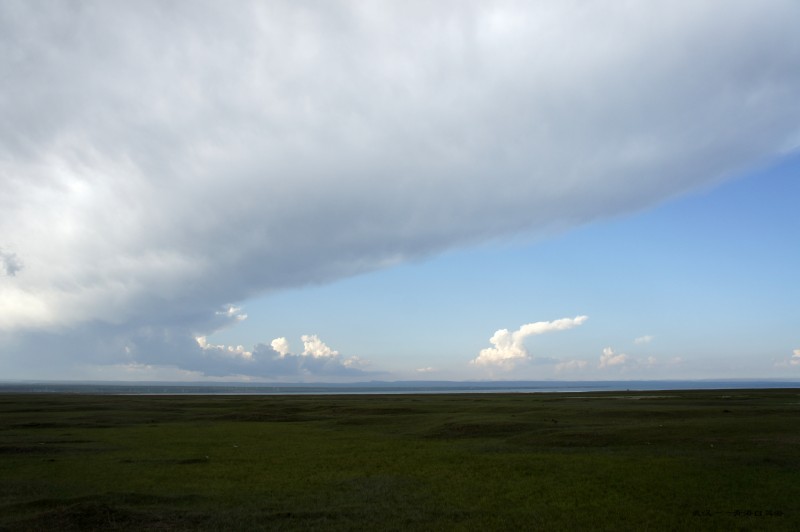 conew_dsc05910n.jpg