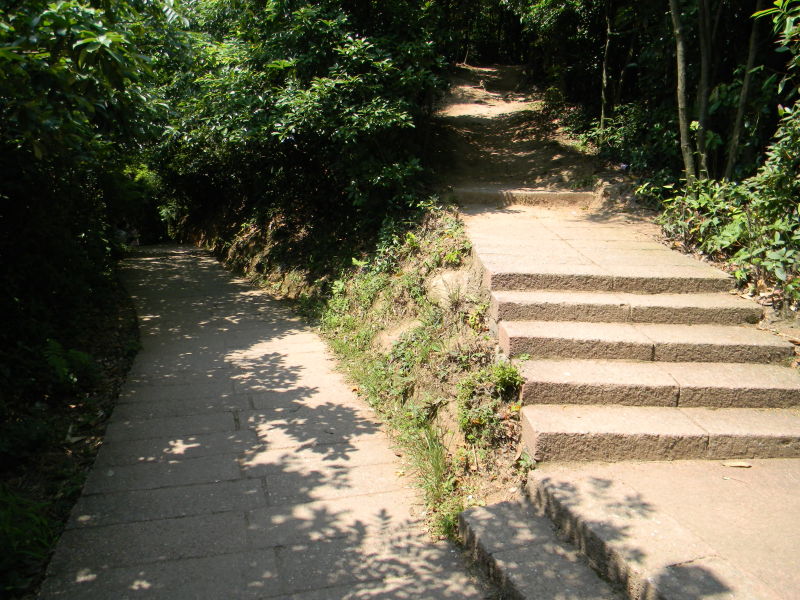 11.jpg