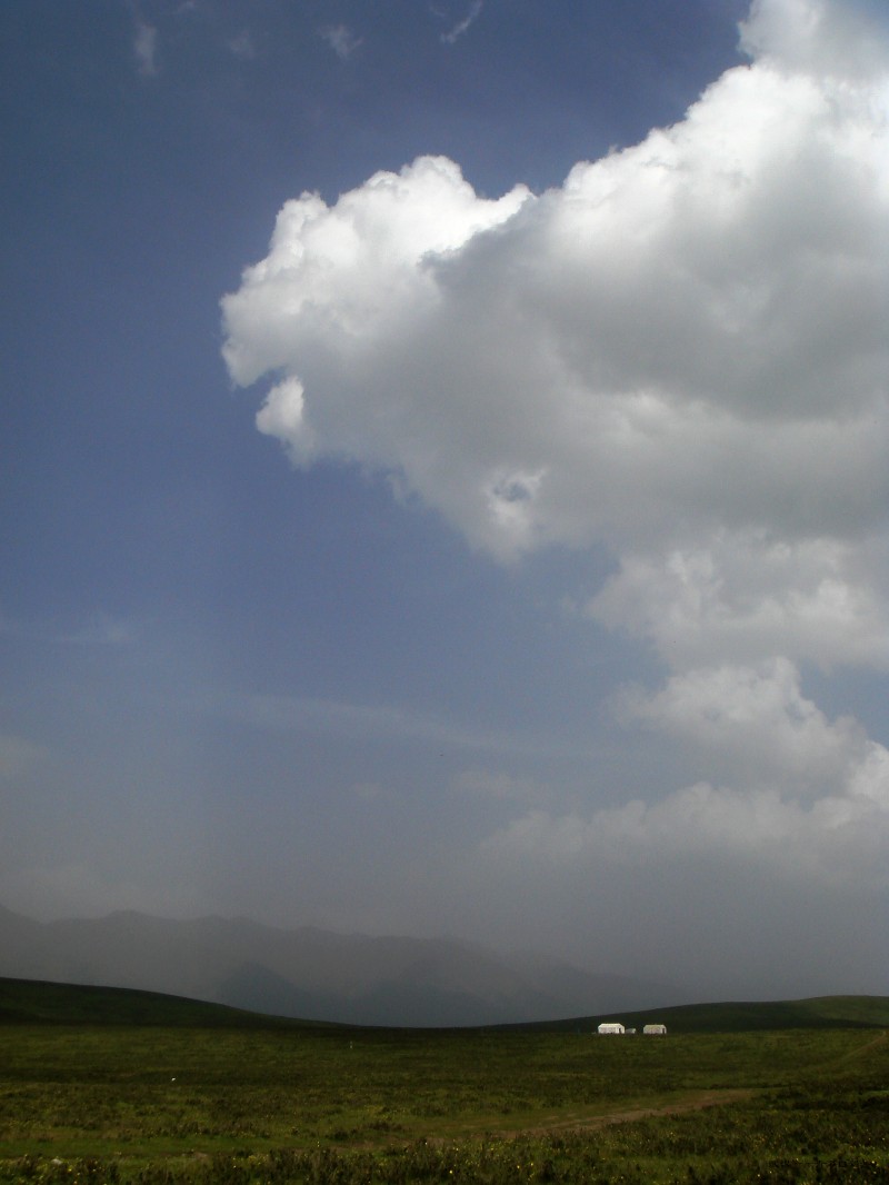 conew_dsc07352n.jpg