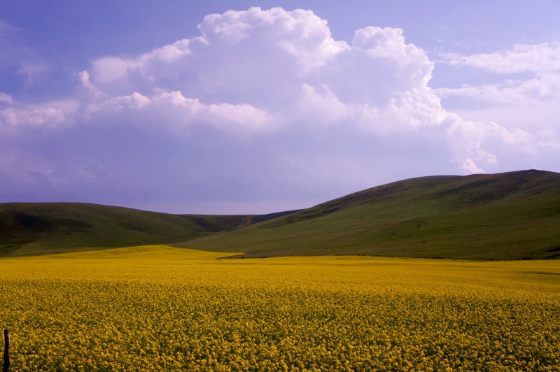 conew_dsc06114n.jpg