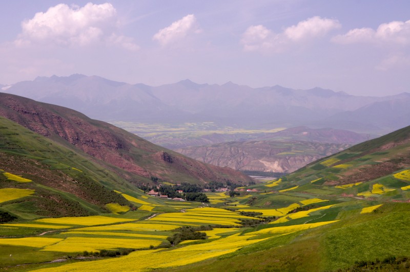 conew_dsc06065n.jpg