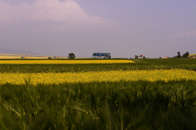 conew_dsc06195n.jpg