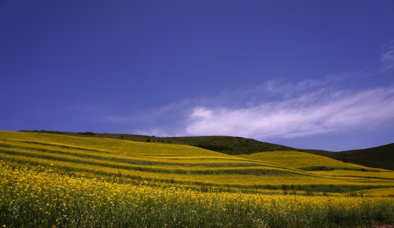 conew_dsc06052n.jpg