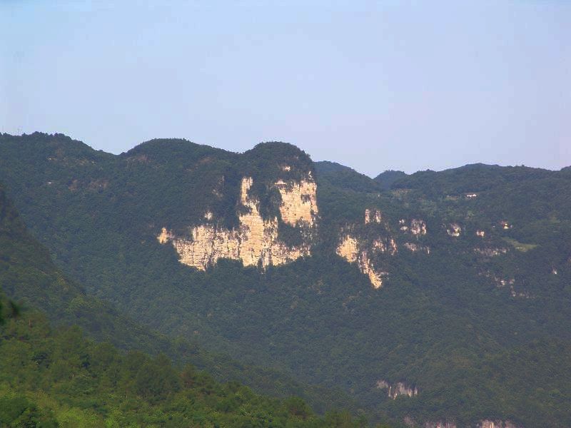 dsc00003.jpg