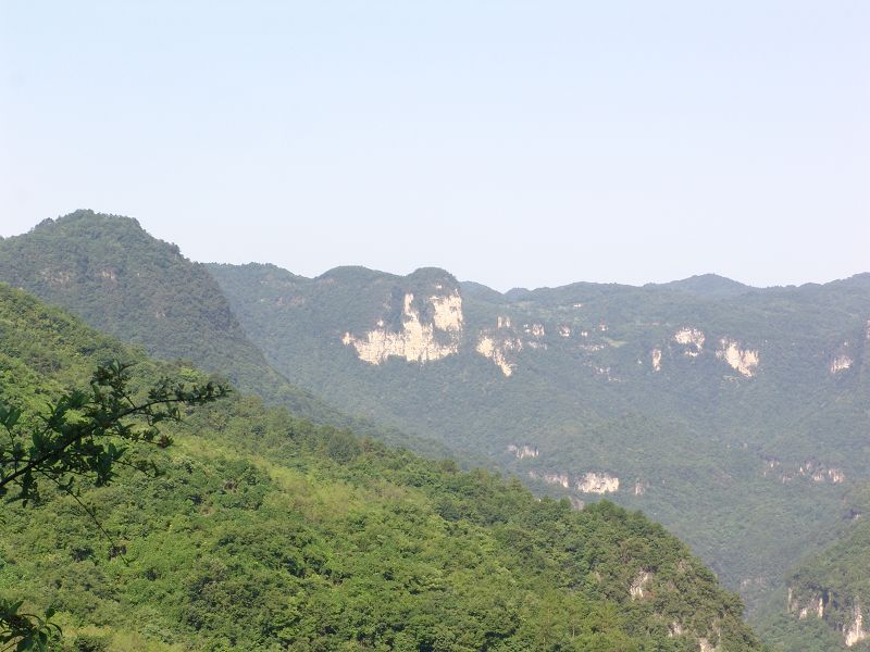 dsc00004.jpg