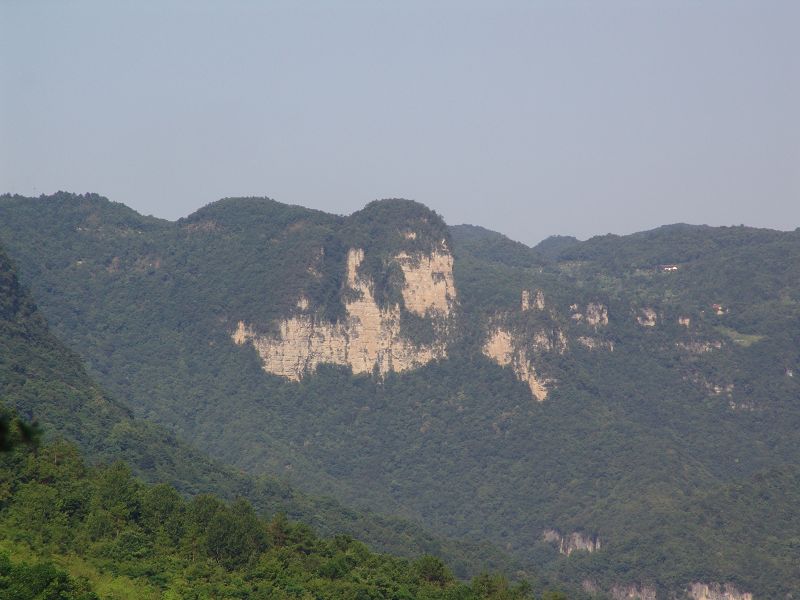 dsc00005.jpg