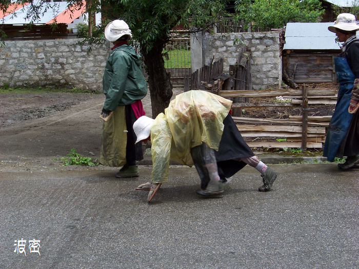 20110616f֥ (38).jpg