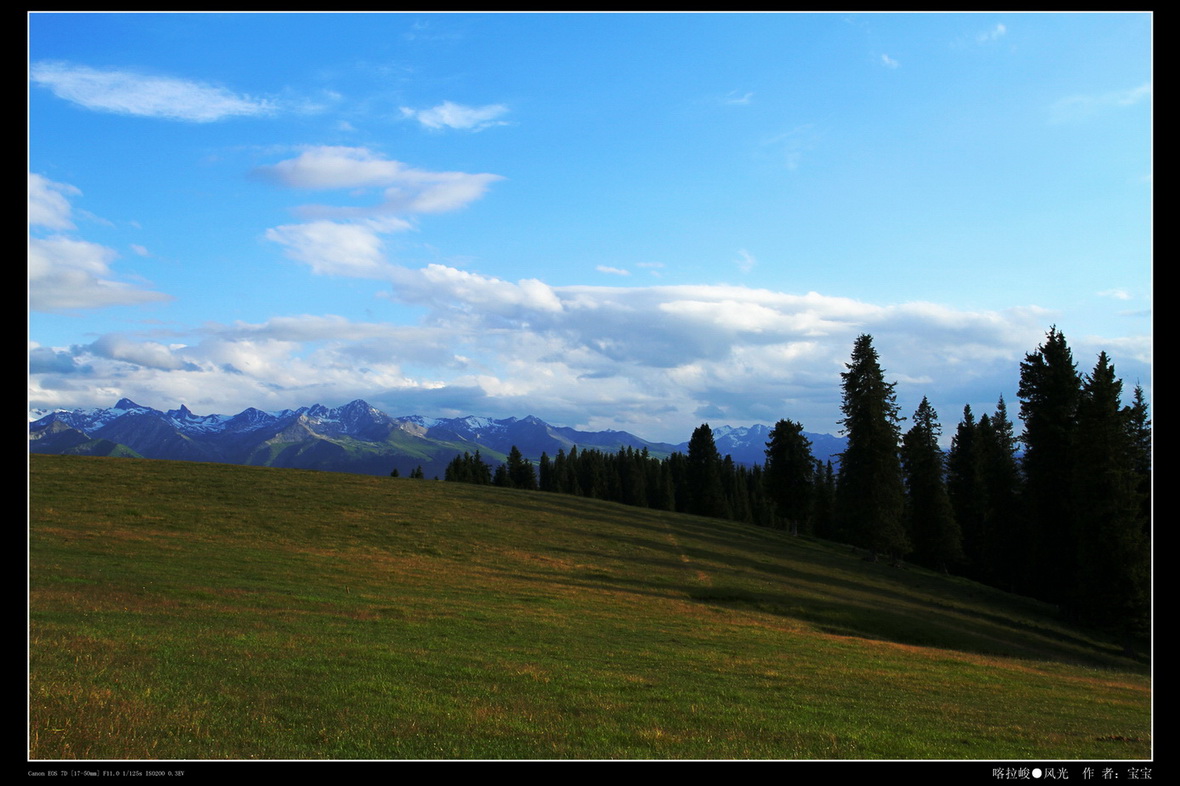img_4905.jpg