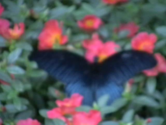 imga0104.jpg