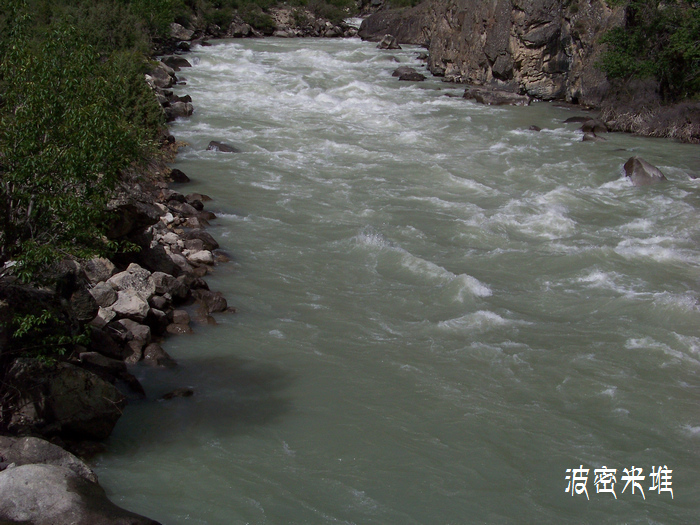2011年0616f西藏林芝然乌米堆 (20)帕隆藏布江.jpg