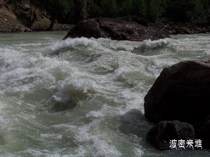 2011年0616f西藏林芝然乌米堆 (35)帕隆藏布江.jpg