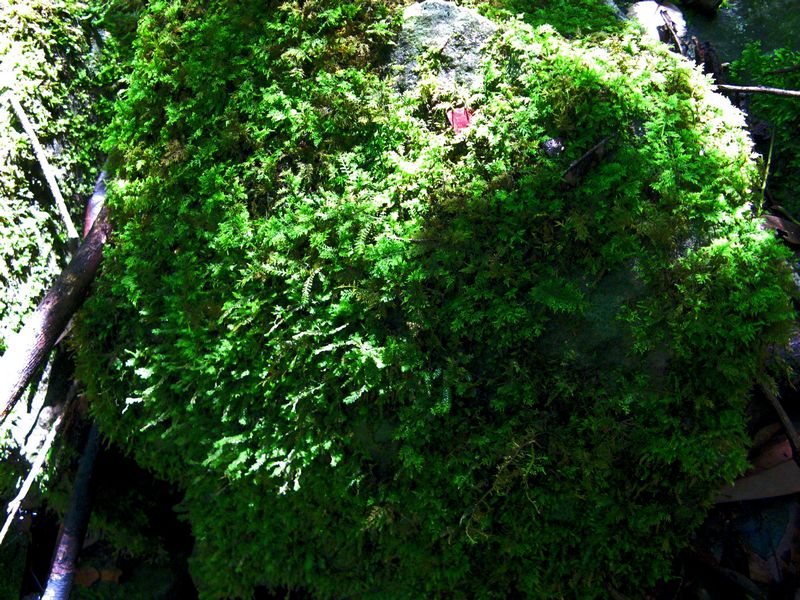 neo_img_Ƭ 149.jpg