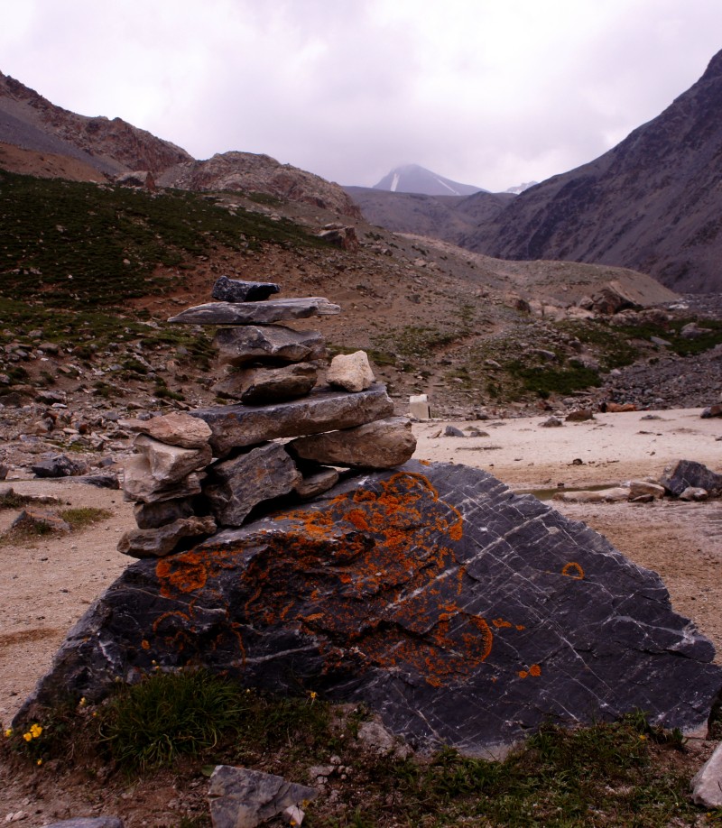 conew_dsc06437n.jpg