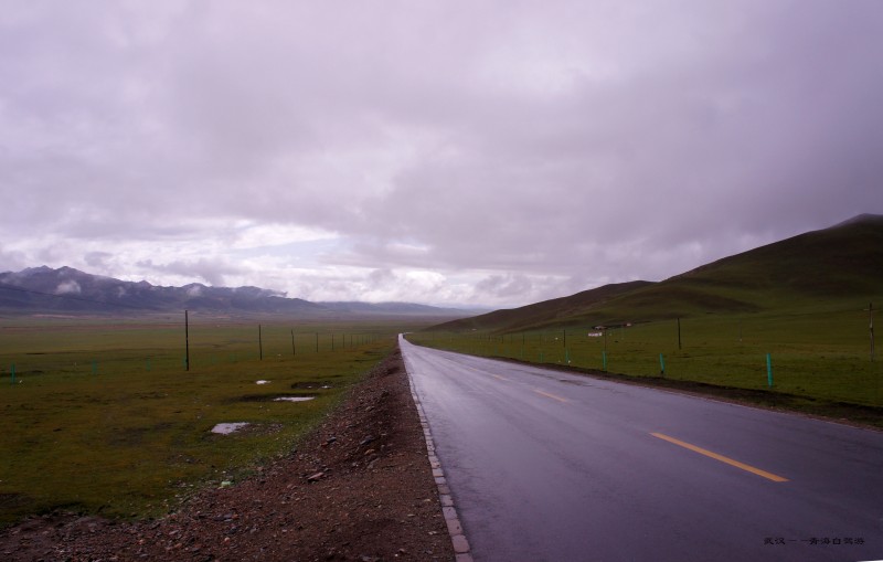conew_dsc06525n.jpg
