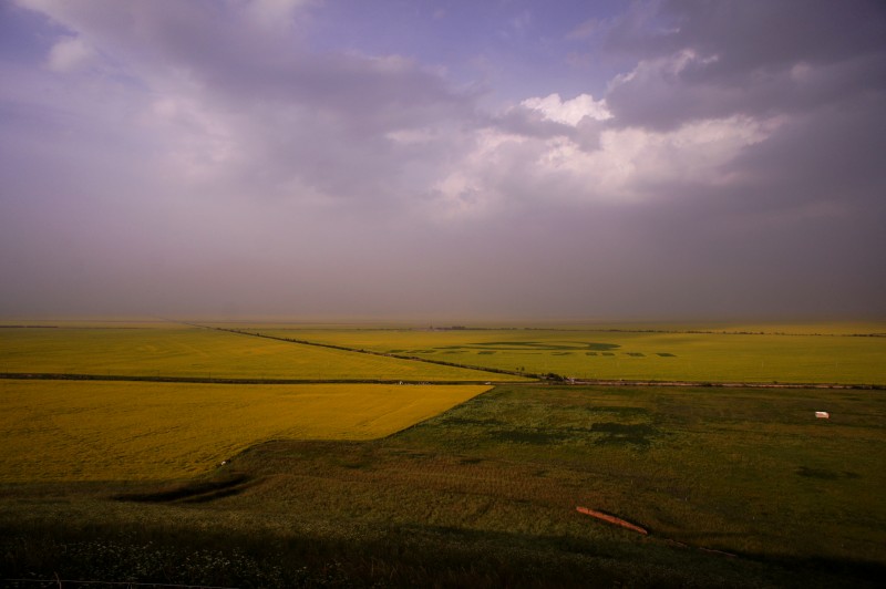 conew_dsc06253n.jpg