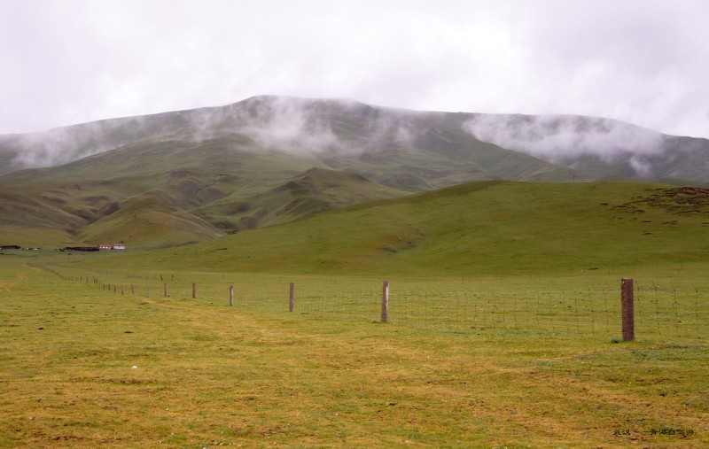 conew_dsc06540n.jpg