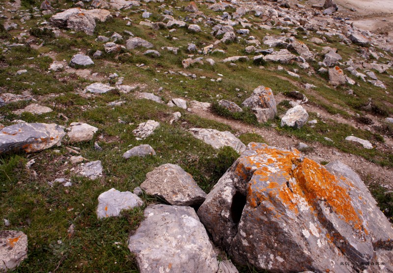conew_dsc06378n.jpg