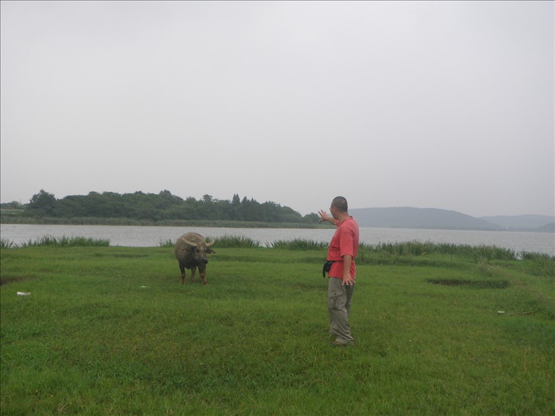 imgp0611.jpg