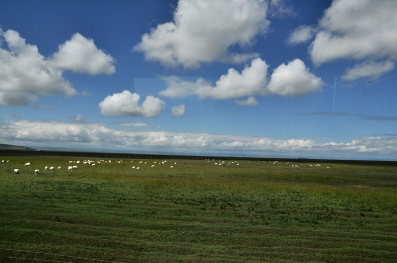 Ƭ 085.jpg