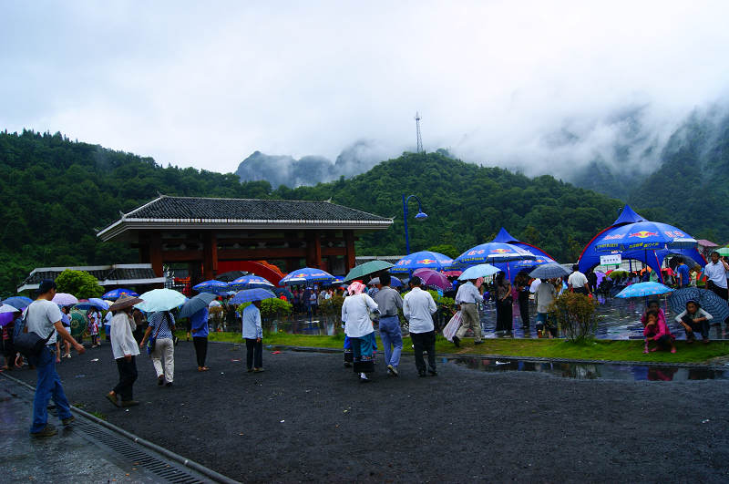 dsc08045.jpg