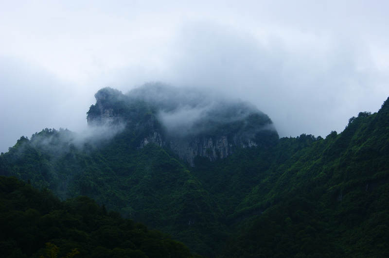 dsc08078.jpg
