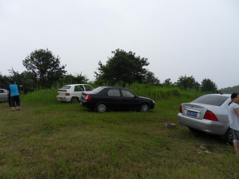 sdc10004.jpg